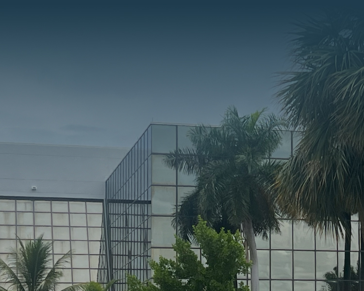 Building and palms